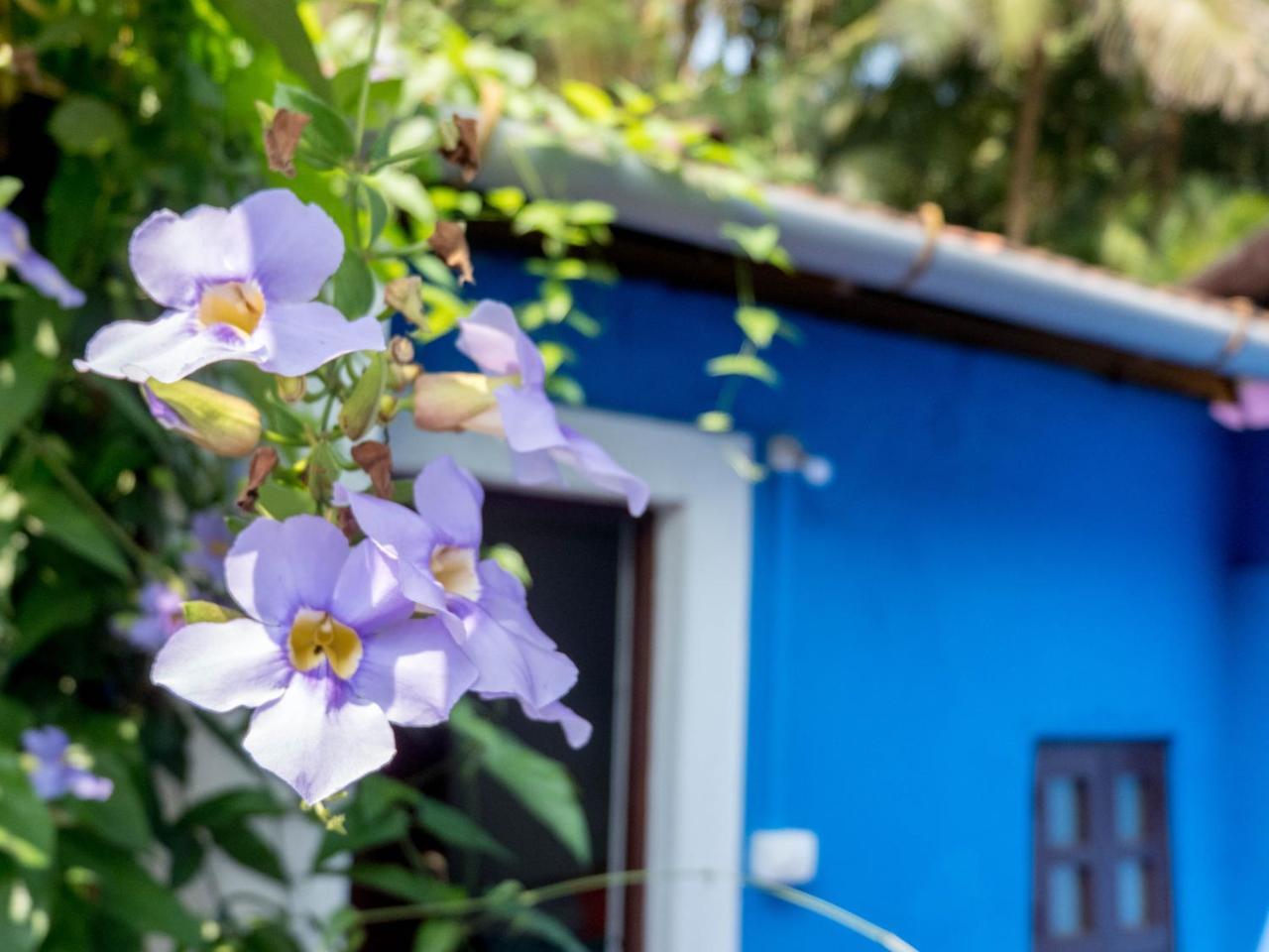 Villa Khatun Guesthouse Panaji Exterior photo